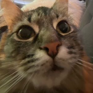 Meet your Posher, Gabrielle